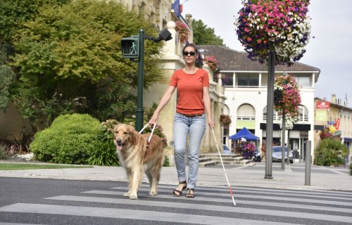 03_blindenführhund1_m.jpg